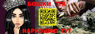 шишки Бийск