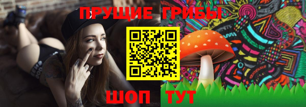 Кимры  Галлюциногенные грибы Cubensis  Вход с VPN 